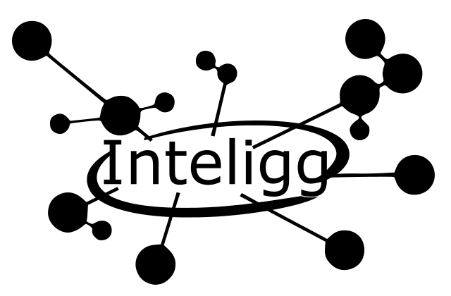 Inteligg Private Company